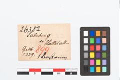 Etikett zu Bernsteinringperle (NHMW-PRAE-026382)